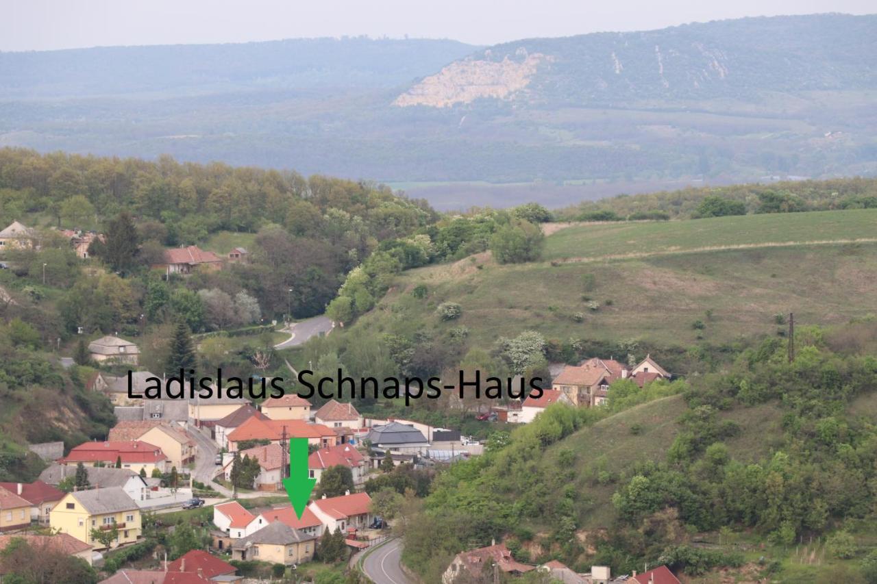 Ladislaus Schnaps-Haus Falusi Vendégház Csolnok Esterno foto