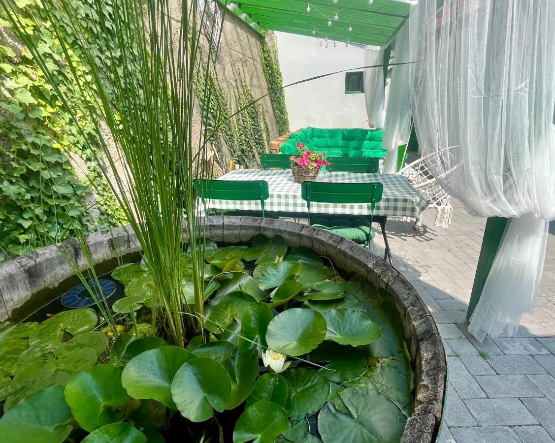 Ladislaus Schnaps-Haus Falusi Vendégház Csolnok Esterno foto